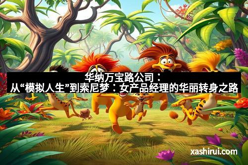 华纳万宝路公司：从“模拟人生”到索尼梦：女产品经理的华丽转身之路